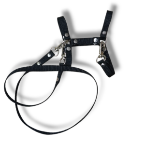 kantar z wodzami a5 czarny