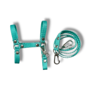 kantar z wodzami a5 miętowy