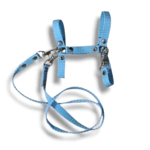 14. kantar z wodzami a5 kolor błękitny. wykonany z taśmy nośnej o szerokości 1cm