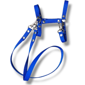 kantar z wodzami a5 fiolet wrzos (kopia)