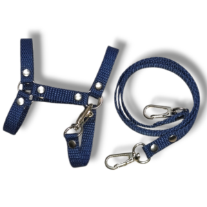 kantar z wodzami a5 miętowy (kopia)