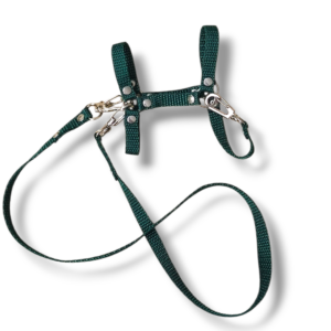 kantar z wodzami a5 butelkowa zieleń