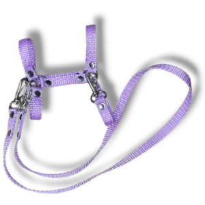 kantar z wodzami a5 ciemny róż (kopia)