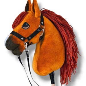 hobby horse a4 rudy